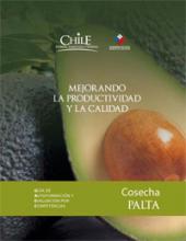 Mejorando la productividad y la calidad: Cosecha de palta. GAEC