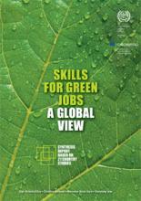 Skills for green jobs. A global view. ILO.