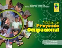 Módulo de proyecto ocupacional: guía para facilitadores/as. 